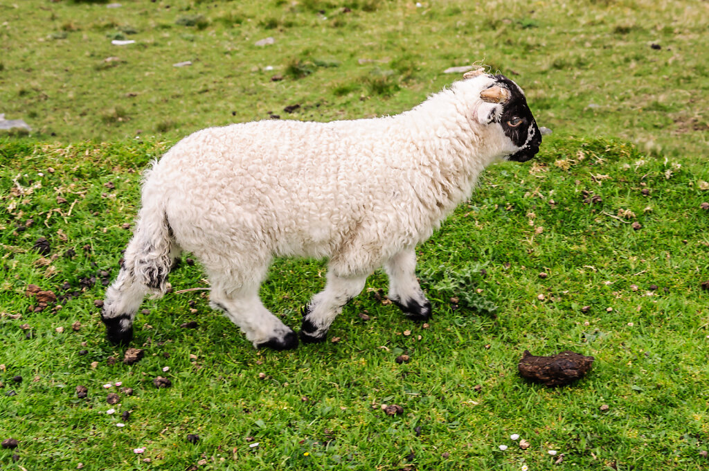 auf Entdeckungsreise